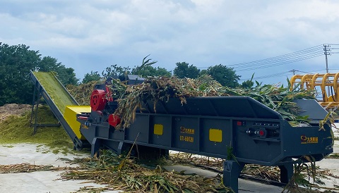 Biomass Recycling